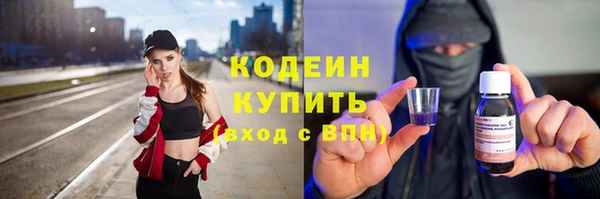 сатива Кинешма