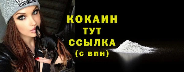 гидра Киреевск