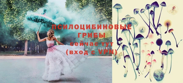 СК Киренск