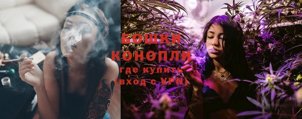 сатива Кинешма