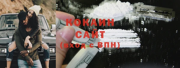 сатива Кинешма