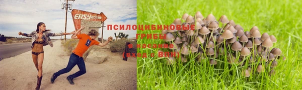 сатива Кинешма