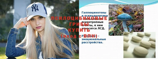 гидра Киреевск