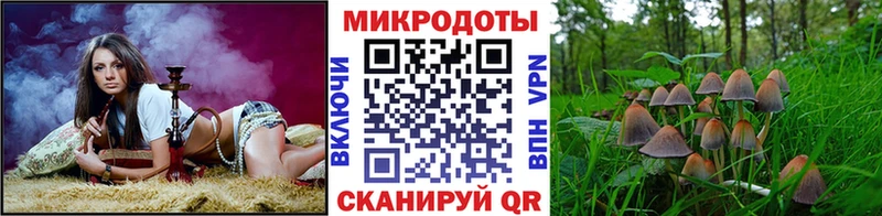 Псилоцибиновые грибы Psilocybe  Купить где  Инсар 